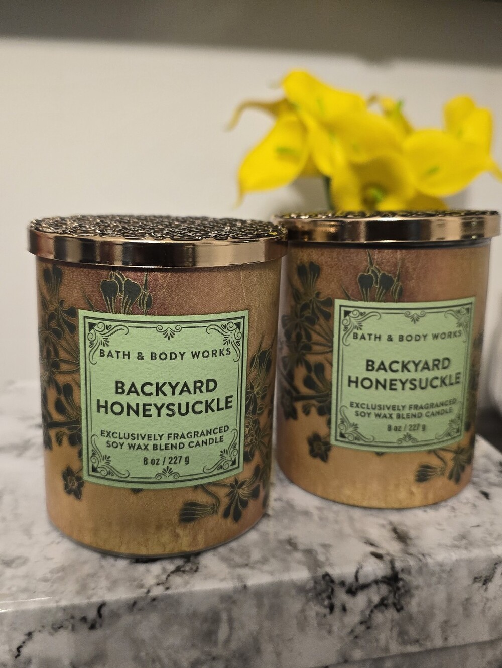 Bath & Body Works Backyard Honeysuckle Candle Set of Two 8oz